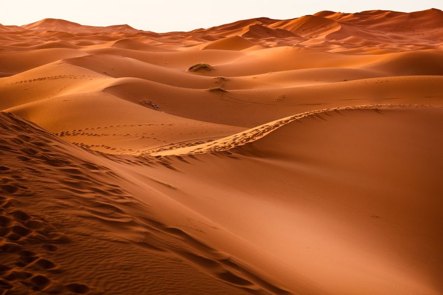 Red Sands Desert Safari Dubai